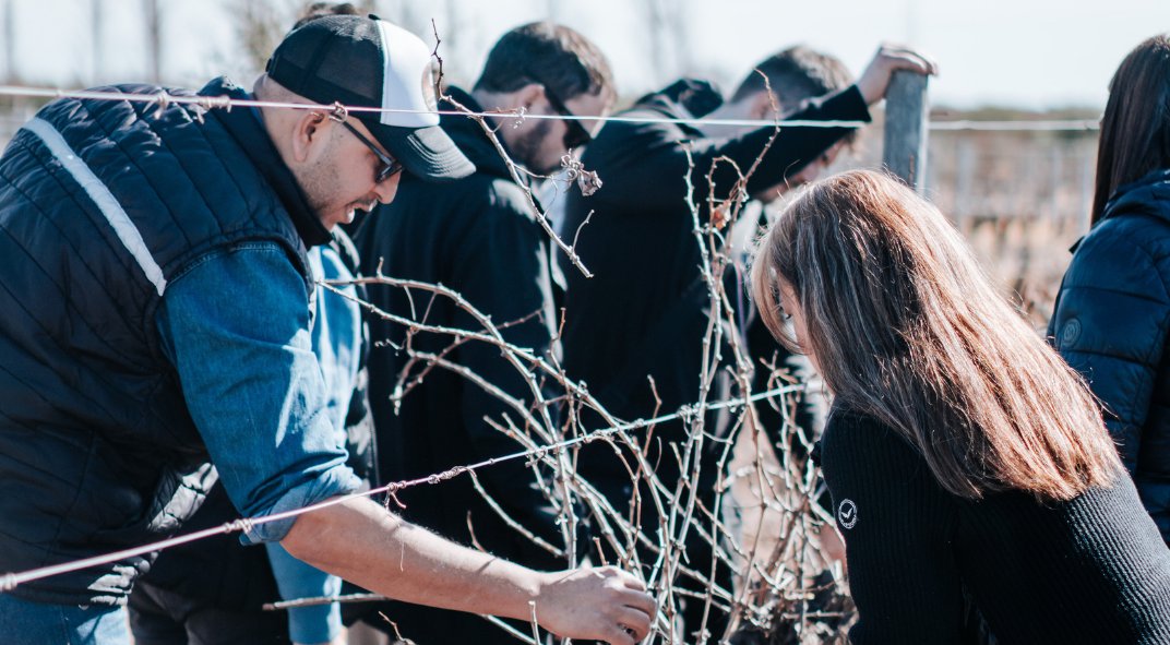 Visita enoturística ESAC